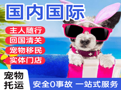 北京密云穆家峪航空运输国际宠物托运 【国